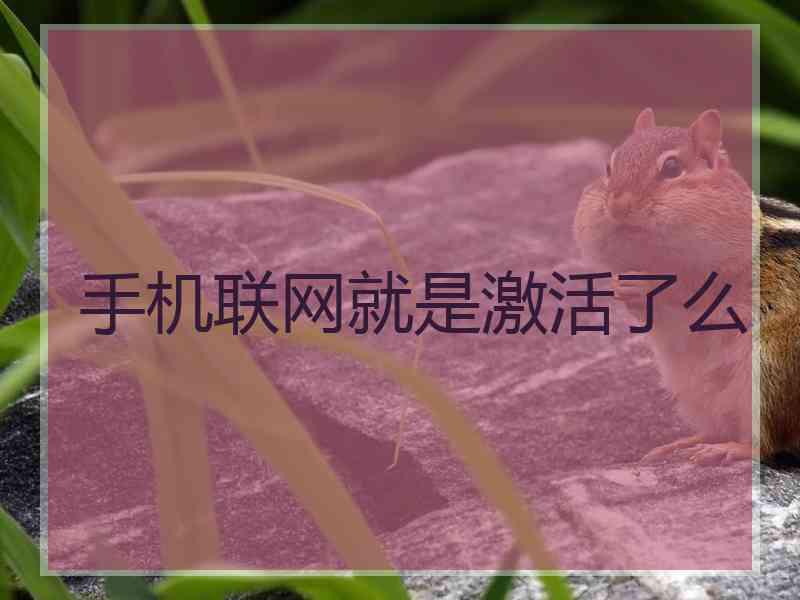 手机联网就是激活了么