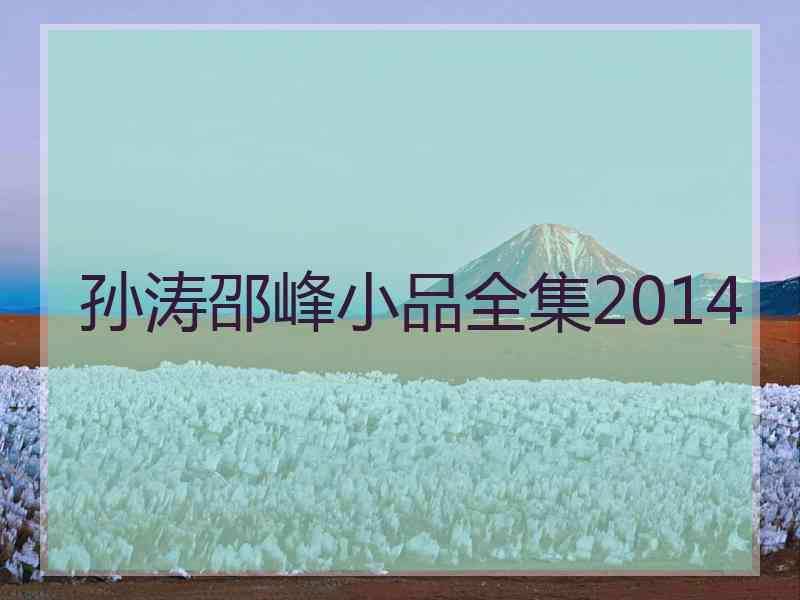 孙涛邵峰小品全集2014