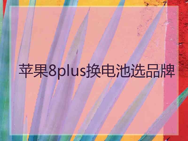 苹果8plus换电池选品牌