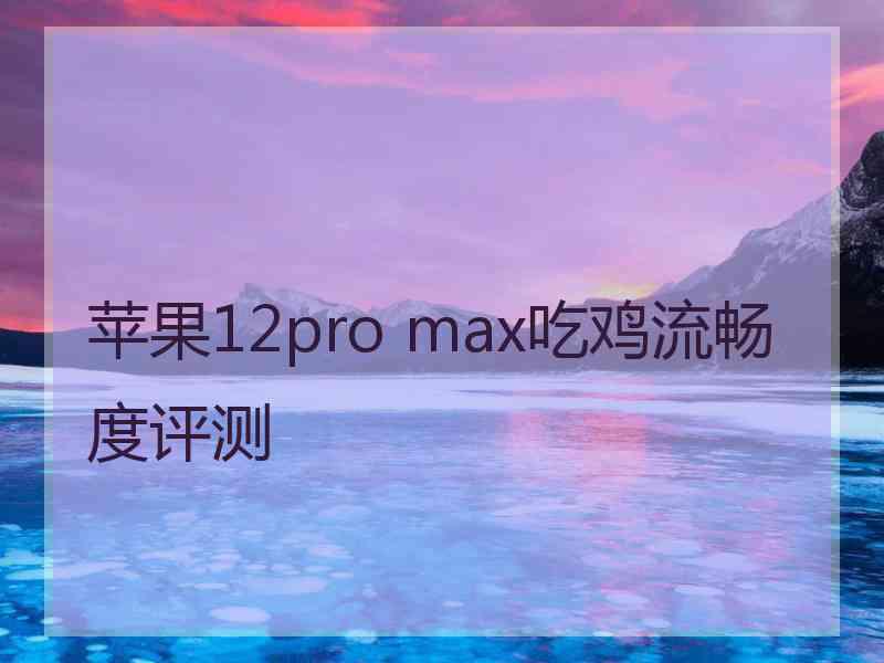 苹果12pro max吃鸡流畅度评测