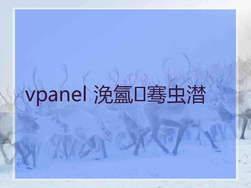 vpanel 浼氳骞虫澘