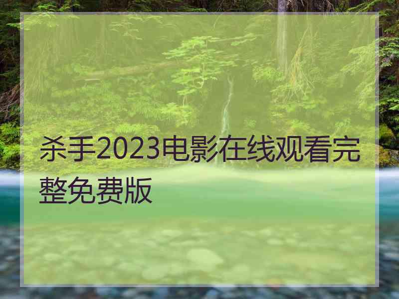 杀手2023电影在线观看完整免费版