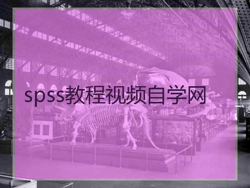 spss教程视频自学网