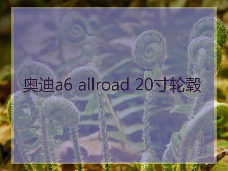 奥迪a6 allroad 20寸轮毂