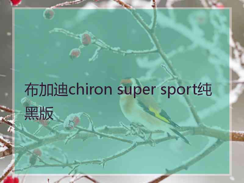 布加迪chiron super sport纯黑版