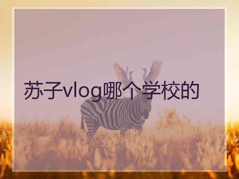 苏子vlog哪个学校的