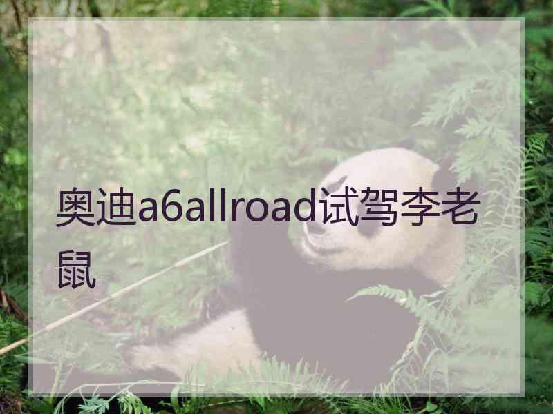 奥迪a6allroad试驾李老鼠