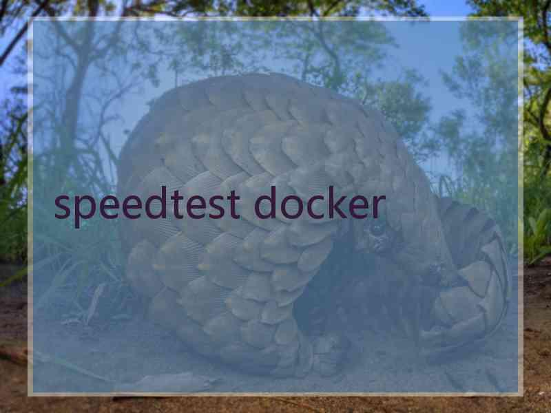 speedtest docker