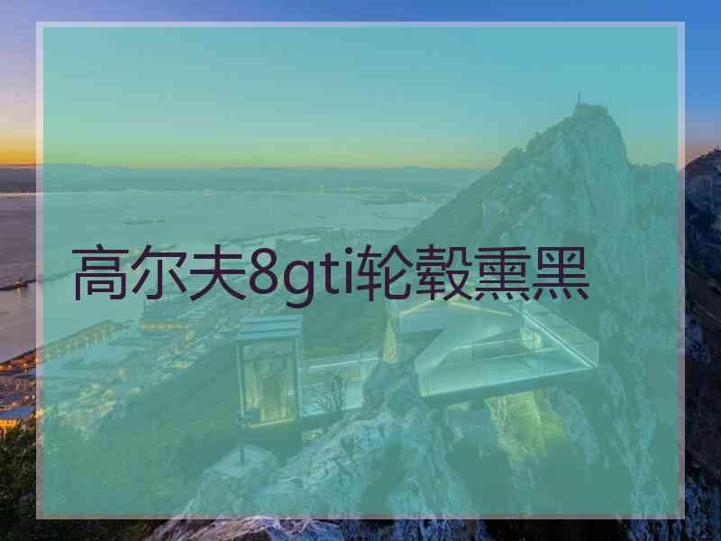 高尔夫8gti轮毂熏黑