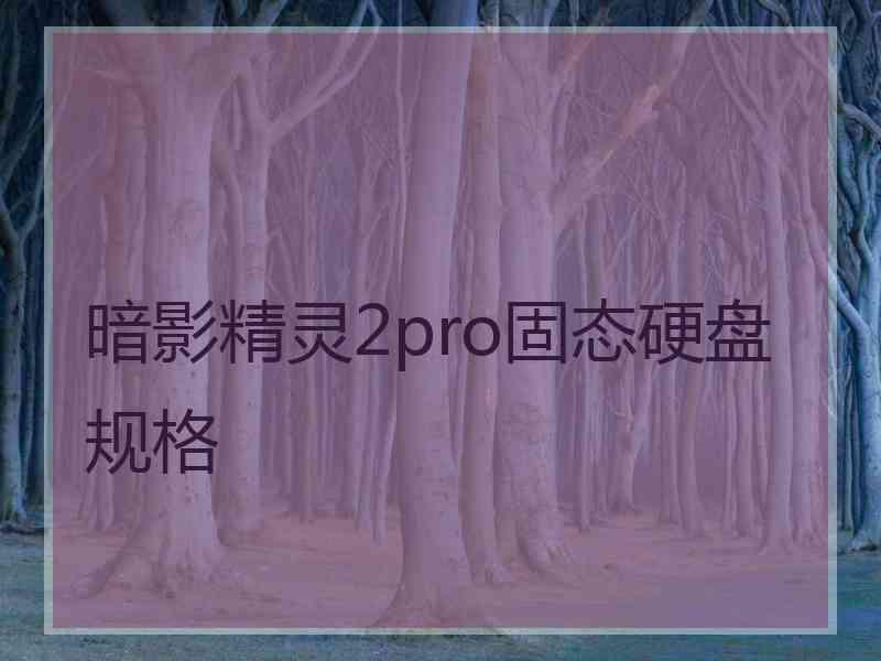 暗影精灵2pro固态硬盘规格