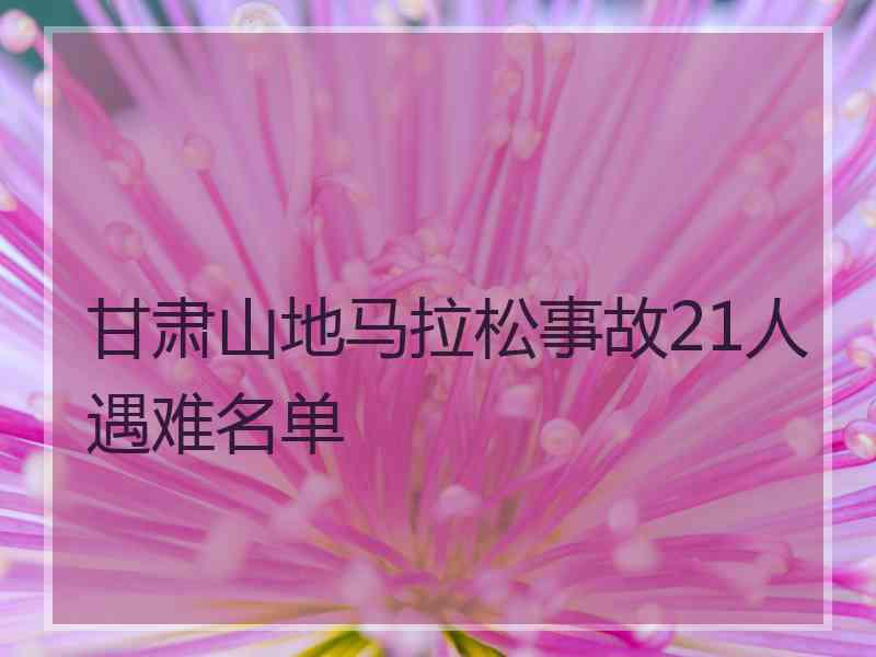 甘肃山地马拉松事故21人遇难名单