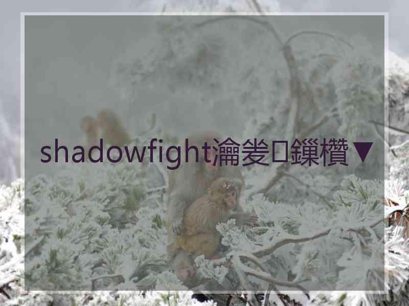 shadowfight瀹夎鏁欑▼