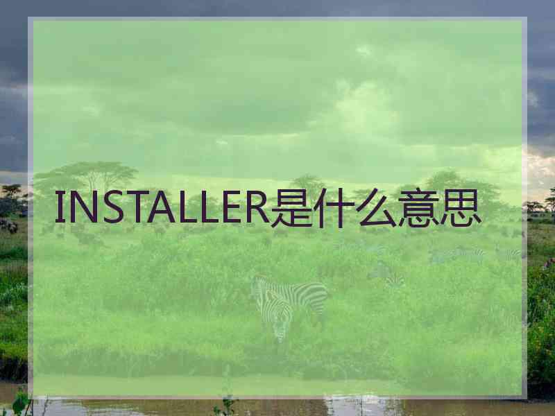 INSTALLER是什么意思