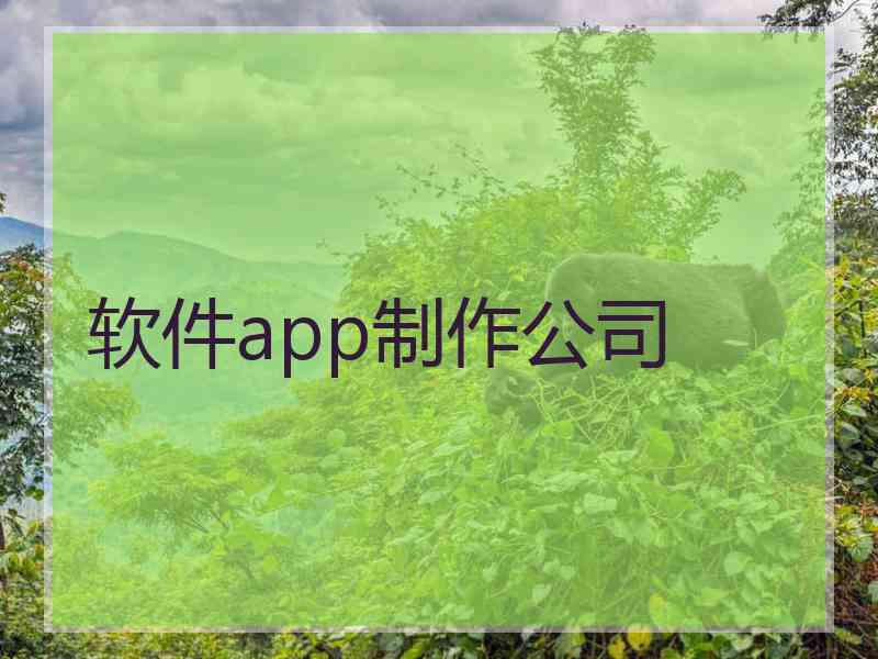 软件app制作公司