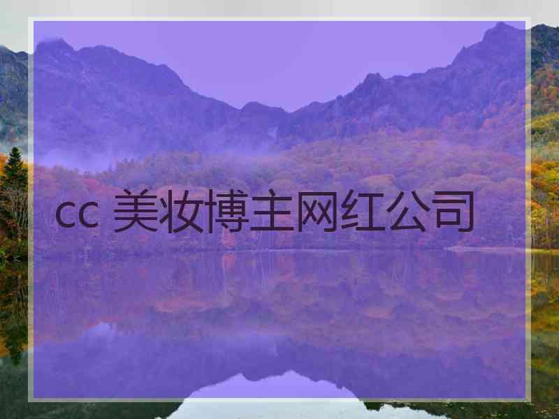 cc 美妆博主网红公司