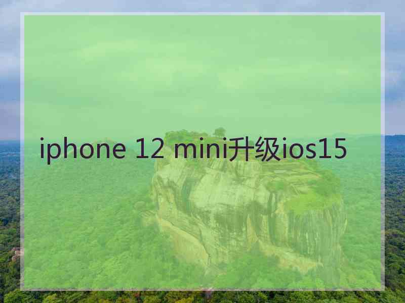 iphone 12 mini升级ios15