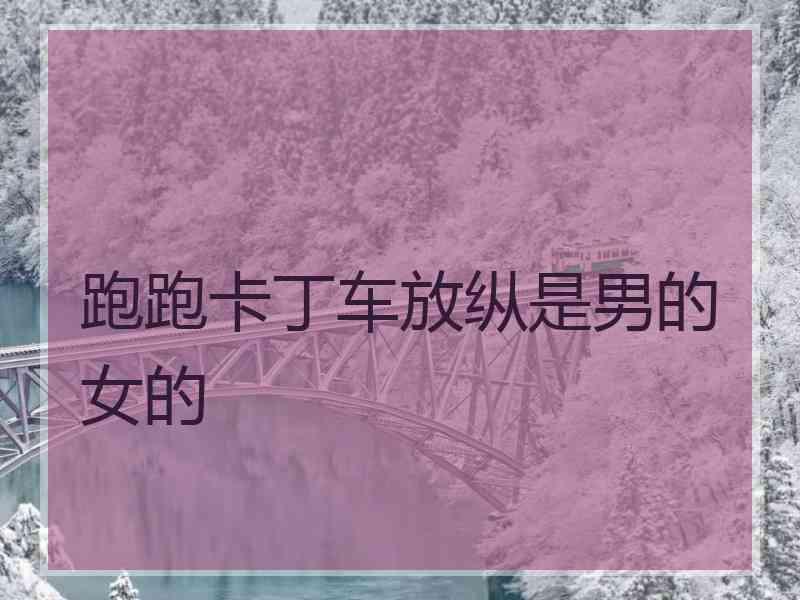 跑跑卡丁车放纵是男的女的