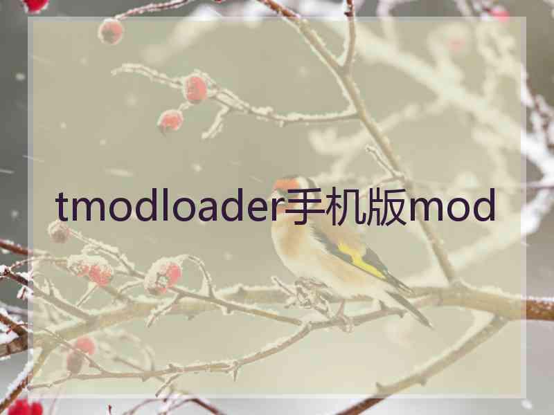 tmodloader手机版mod