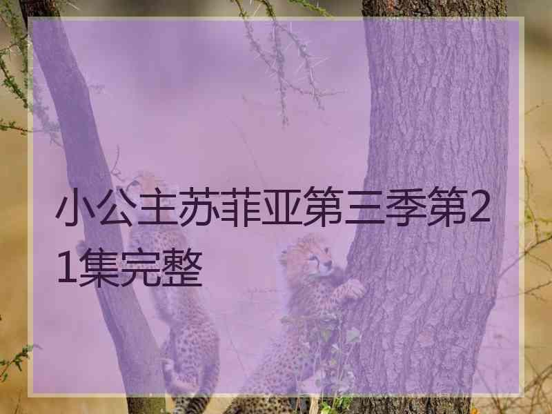 小公主苏菲亚第三季第21集完整