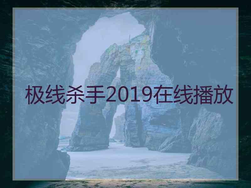 极线杀手2019在线播放