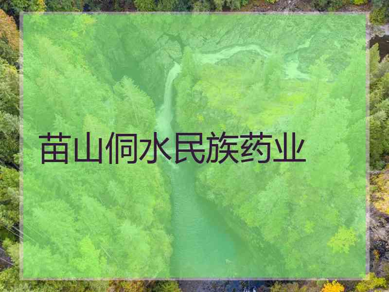 苗山侗水民族药业