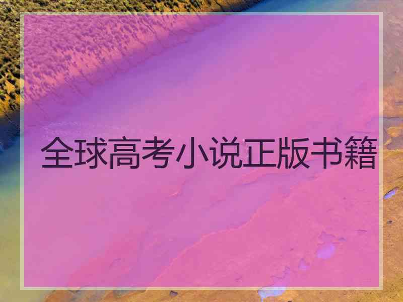 全球高考小说正版书籍