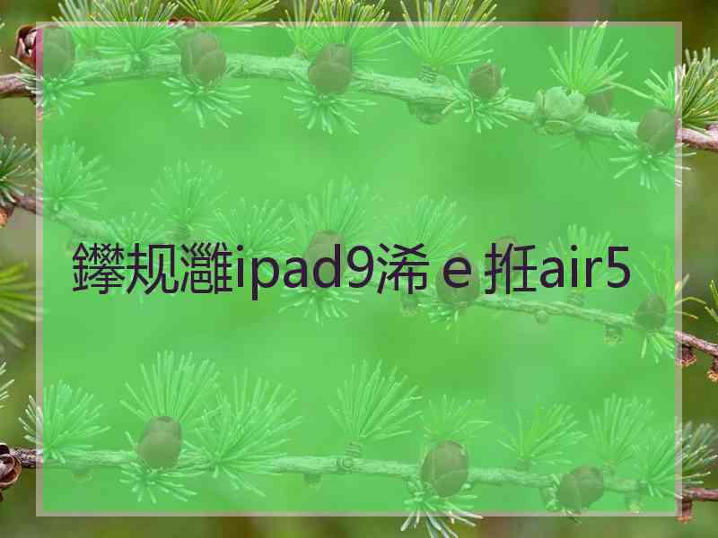 鑻规灉ipad9浠ｅ拰air5