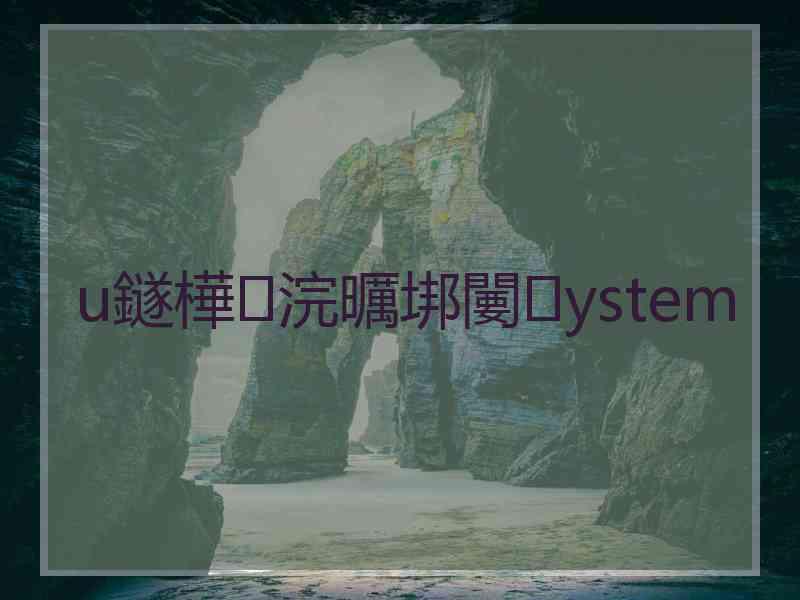 u鐩樺浣曞垹闄ystem