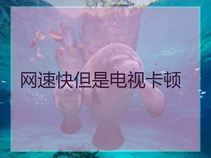 网速快但是电视卡顿