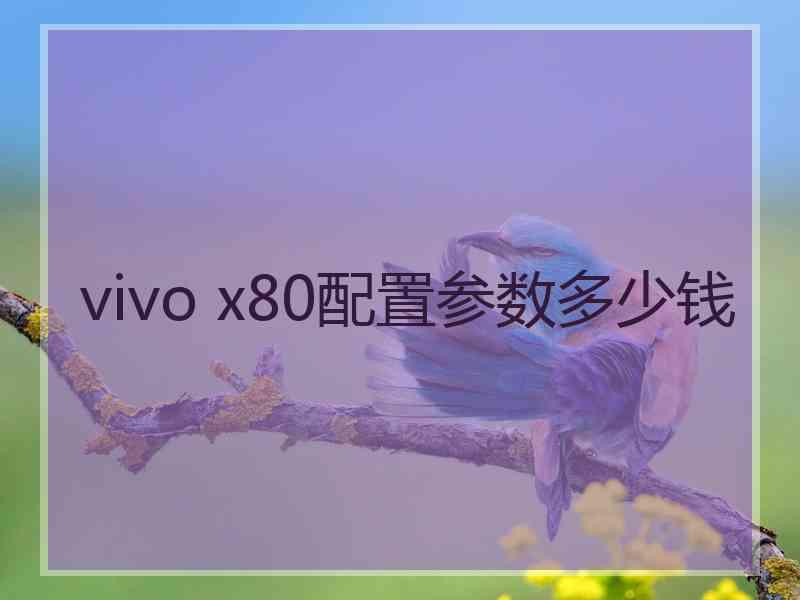 vivo x80配置参数多少钱