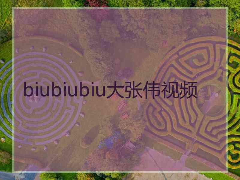 biubiubiu大张伟视频