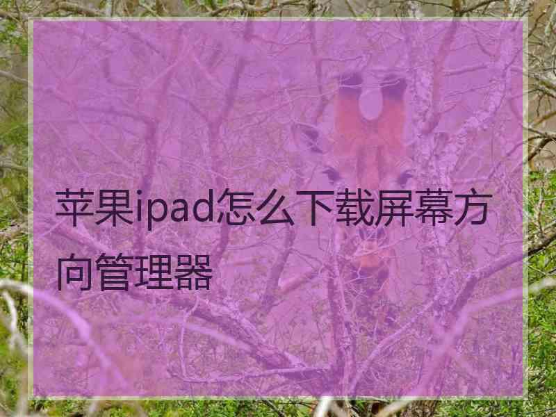 苹果ipad怎么下载屏幕方向管理器