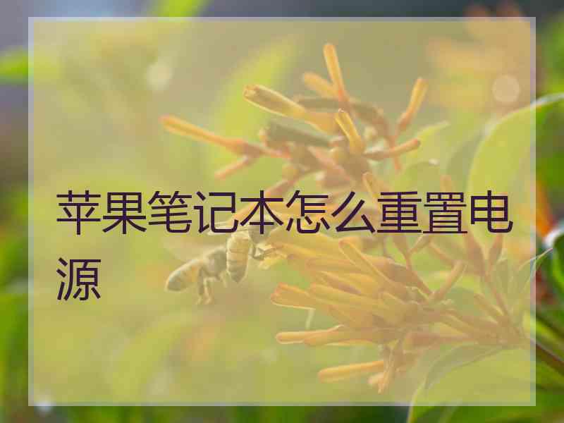 苹果笔记本怎么重置电源