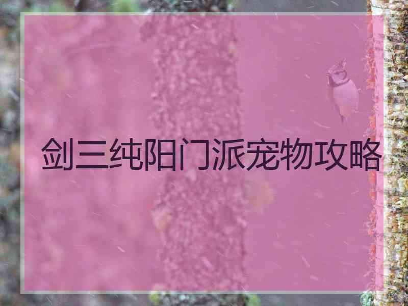 剑三纯阳门派宠物攻略