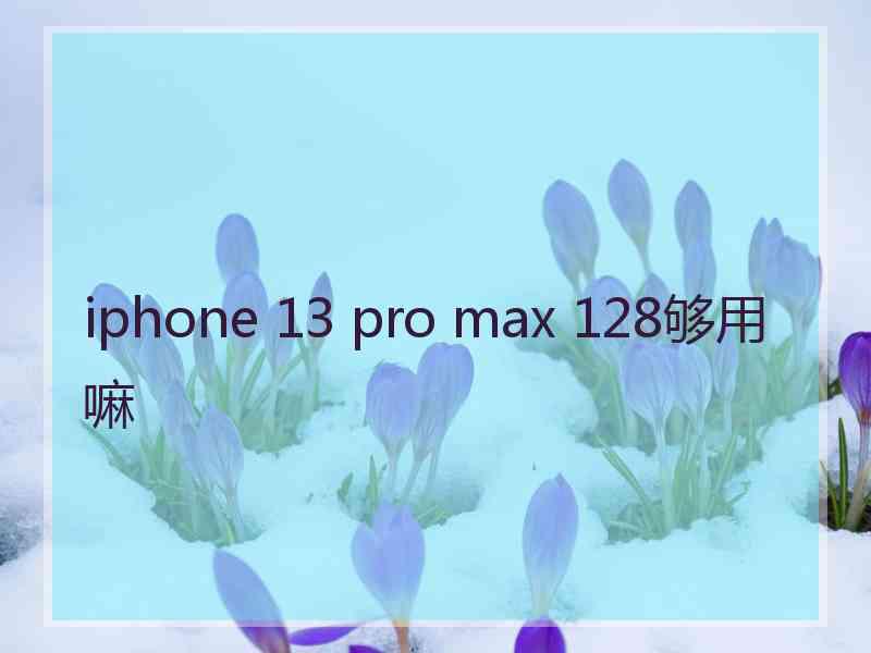 iphone 13 pro max 128够用嘛