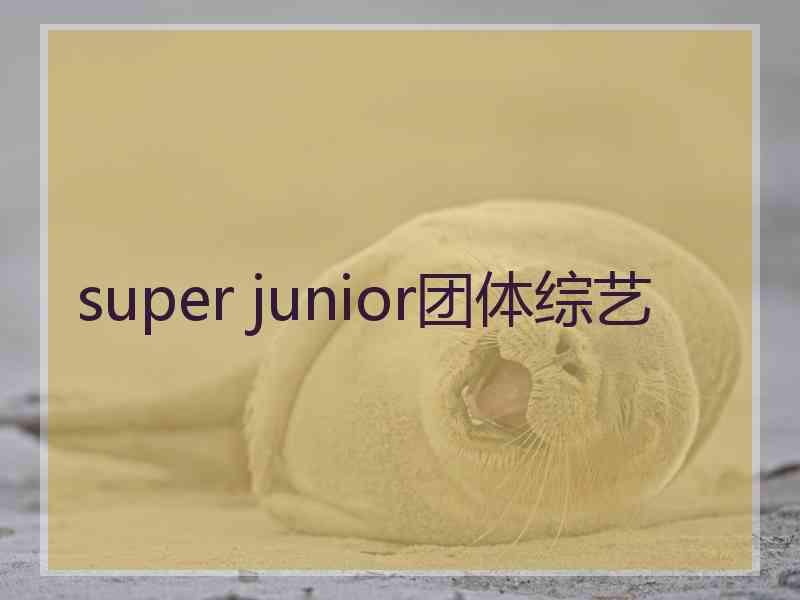 super junior团体综艺