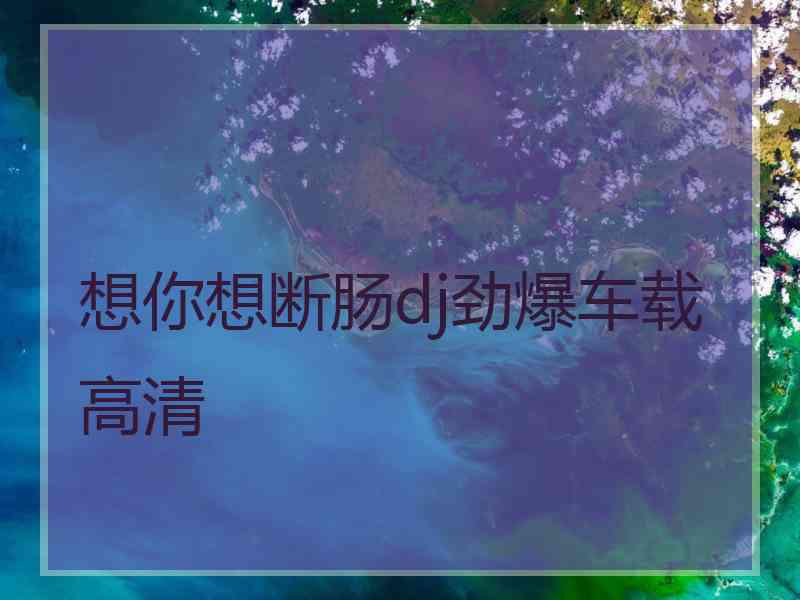 想你想断肠dj劲爆车载高清