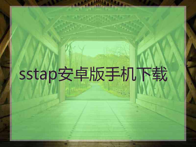 sstap安卓版手机下载