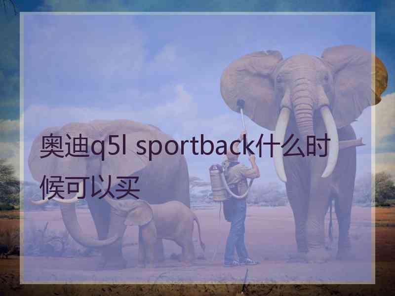 奥迪q5l sportback什么时候可以买