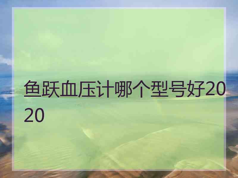 鱼跃血压计哪个型号好2020