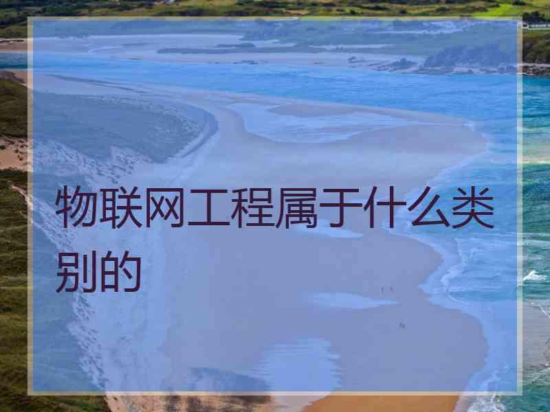 物联网工程属于什么类别的