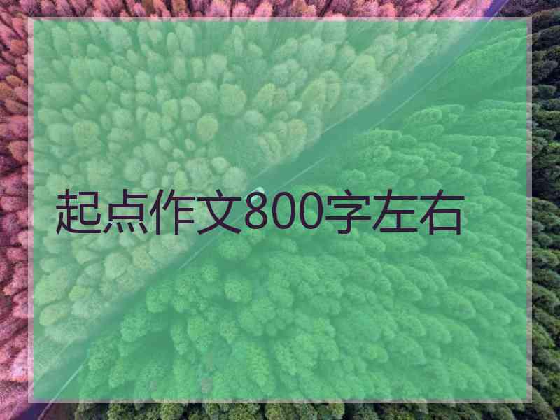 起点作文800字左右