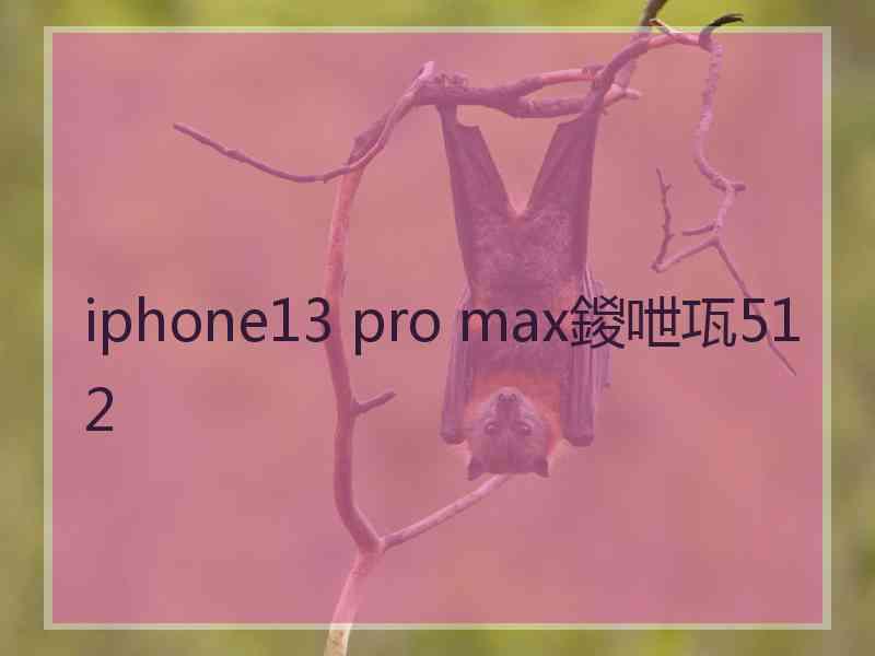 iphone13 pro max鍐呭瓨512