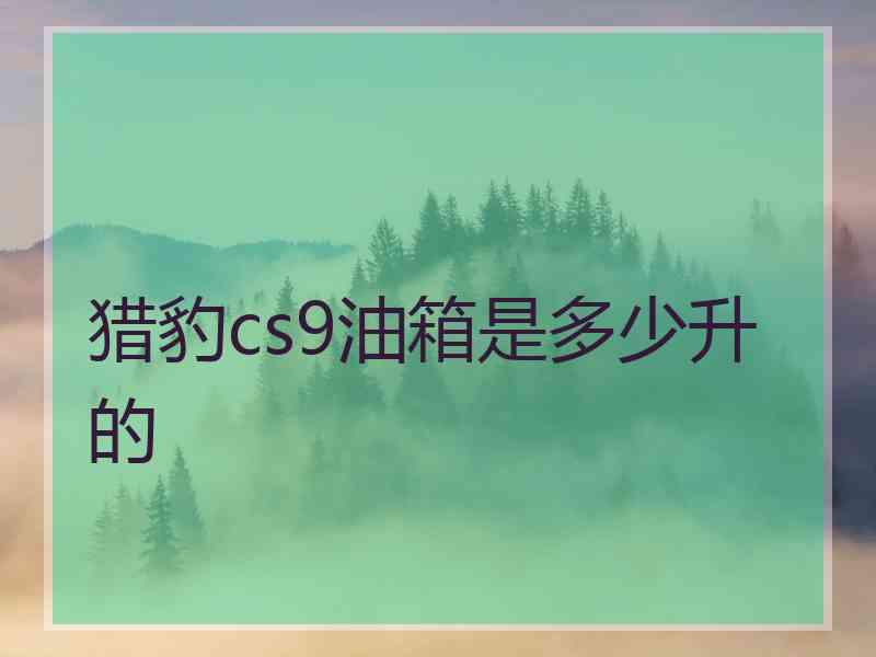 猎豹cs9油箱是多少升的