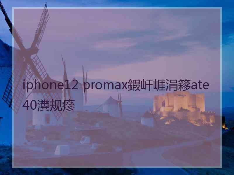 iphone12 promax鍜屽崕涓簃ate40瀵规瘮