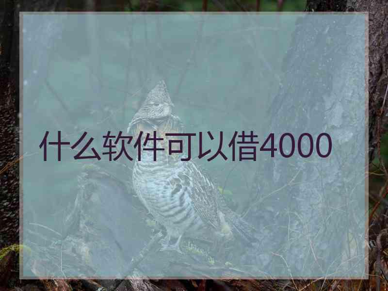 什么软件可以借4000