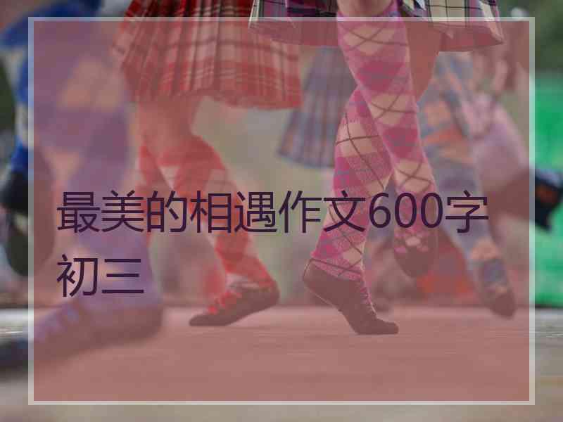 最美的相遇作文600字初三