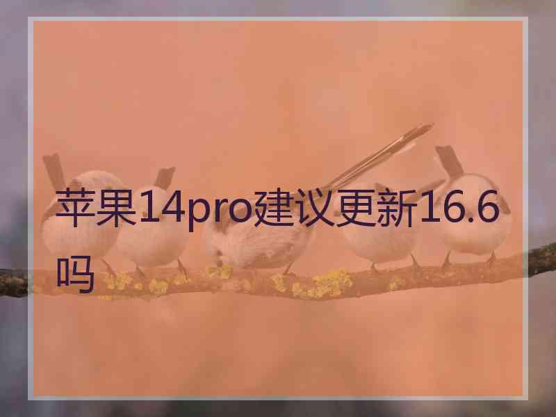 苹果14pro建议更新16.6吗