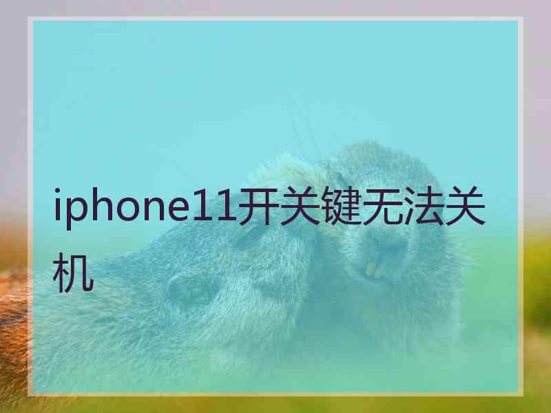 iphone11开关键无法关机