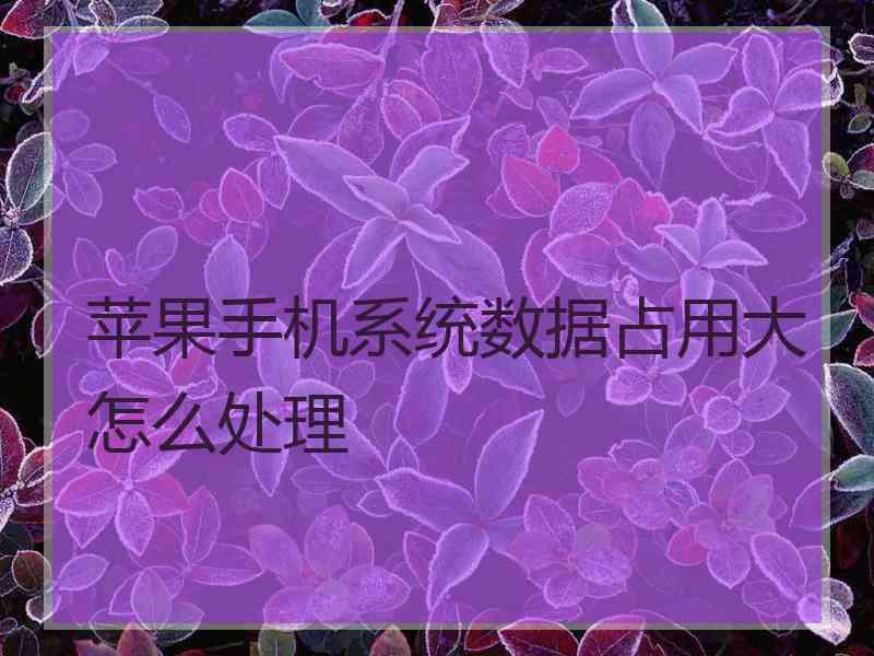 苹果手机系统数据占用大怎么处理